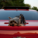 Image for article titled Shooting Challenge: Golden Hour Gallery 2